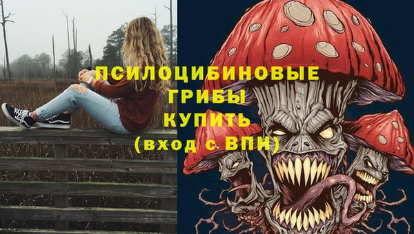 дмт Магас