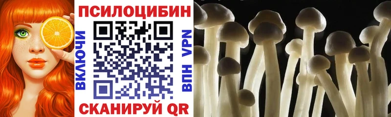 Псилоцибиновые грибы MAGIC MUSHROOMS  Купить закладки  Никольское 
