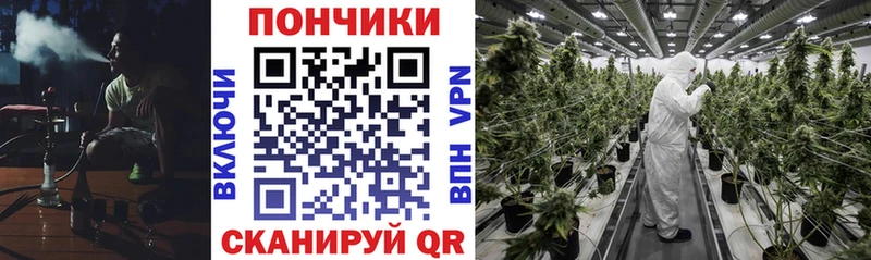 Купить  Никольское  Шишки марихуана Ganja 